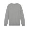 PUMA teamGOAL Casuals Sweatshirt Kids Grau F33 - grau