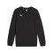 PUMA teamGOAL Casuals Sweatshirt Kids Schwarz F03 - schwarz