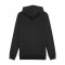 PUMA teamGOAL Hoody Schwarz Weiss Grau F03 - schwarz