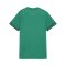 PUMA teamGOAL Matchday Trikot Damen Grün Weiss F05 - gruen