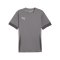 PUMA teamGOAL Matchday Trikot Grau Weiss F13 - grau