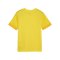 PUMA teamGOAL Matchday Trikot Kids Gelb Schwarz F07 - gelb