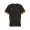 PUMA teamGOAL Matchday Trikot Kids Schwarz Gold F28 - schwarz
