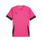 PUMA teamGOAL Matchday Trikot Pink Schwarz F27 - rosa