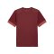 PUMA teamGOAL Matchday Trikot Rot Weiss F09 - rot