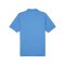 PUMA teamGOAL Poloshirt Blau F02 - hellblau