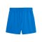 PUMA teamGOAL Short Damen Blau F02 - blau