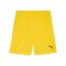 PUMA teamGOAL Short Gelb Schwarz F07 - gelb