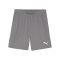 PUMA teamGOAL Short Grau Weiss F13 - grau