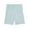 PUMA TeamGOAL Short Grün F41 - gruen