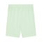 PUMA teamGOAL Short Grün Schwarz F60 - gruen