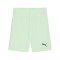 PUMA teamGOAL Short Grün Schwarz F60 - gruen