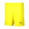 PUMA teamGOAL Short Kids Gelb F23 - gelb