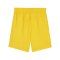 PUMA teamGOAL Short Kids Gelb Schwarz F07 - gelb