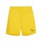 PUMA teamGOAL Short Kids Gelb Schwarz F07 - gelb