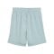 PUMA teamGOAL Short Kids Grün F41 - gruen