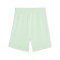 PUMA teamGOAL Short Kids Grün Schwarz F60 - gruen