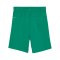 PUMA teamGOAL Short Kids Grün Weiss F05 - gruen