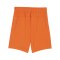 PUMA teamGOAL Short Kids Orange Weiss F08 - orange
