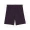 PUMA teamGOAL Short Lila F40 - lila