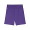 PUMA teamGOAL Short Lila Weiss F10 - lila