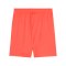 PUMA teamGoal Short Orange F38 - orange