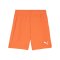 PUMA teamGOAL Short Orange Weiss F08 - orange