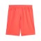 PUMA TeamGOAL Short Rot F42 - rot