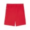 PUMA teamGOAL Short Rot Weiss F01 - rot