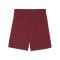 PUMA teamGOAL Short Rot Weiss F09 - rot