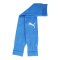PUMA teamGOAL Sleeves Blau Weiss F02 - blau