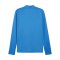 PUMA teamGOAL Training 1/4 Zip Sweatshirt Blau F02 - hellblau