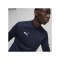 PUMA teamGOAL Training 1/4 Zip Sweatshirt Blau F06 - dunkelblau