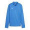 PUMA teamGOAL Training 1/4 Zip Sweatshirt D F02 - hellblau