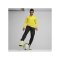 PUMA teamGOAL Training 1/4 Zip Sweatshirt Gelb F07 - gelb