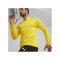 PUMA teamGOAL Training 1/4 Zip Sweatshirt Gelb F07 - gelb