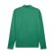 PUMA teamGOAL Training 1/4 Zip Sweatshirt Grün F05 - gruen