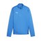 PUMA teamGOAL Training 1/4 Zip Sweatshirt Kids F02 - blau