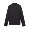 PUMA teamGOAL Training 1/4 Zip Sweatshirt Kids F03 - schwarz