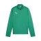 PUMA teamGOAL Training 1/4 Zip Sweatshirt Kids F05 - gruen