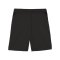 PUMA teamGOAL Training Shorts Schwarz F03 - schwarz