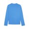PUMA teamGOAL Training Sweatshirt Blau F02 - hellblau