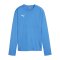 PUMA teamGOAL Training Sweatshirt Damen Blau F01 - hellblau