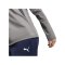 PUMA teamGOAL Training Sweatshirt Damen Grau F13 - grau