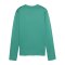 PUMA teamGOAL Training Sweatshirt Damen Grün F05 - gruen