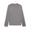 PUMA teamGOAL Training Sweatshirt Grau F13 - grau