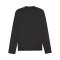 PUMA teamGOAL Training Sweatshirt Schwarz F03 - schwarz