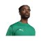 PUMA teamGOAL Training Sweatshirt Grün F05 - gruen