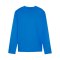 PUMA teamGOAL Training Sweatshirt Kids Blau F02 - blau