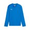 PUMA teamGOAL Training Sweatshirt Kids Blau F02 - blau